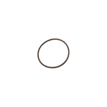 Anel O-ring Câmbios ZF 9S 2T2145371