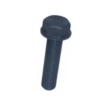 Paraf Sext.Flang.M24X100X2,00 10.9 Rt 0069908504