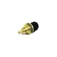 Sensor de Temperatura Motor MAN D08 07W906529