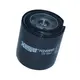Filtro Óleo Lubrificante Blindado BR509596 1301696