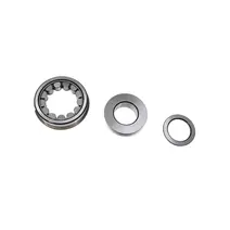 Rolamento de Rolos Entalhado FS6209 X8877164