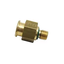 Válvula Alivio de Pressão M12X1.5 SV246 Bg8 Fpt 2R0201136C