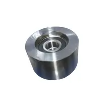 Polia Esticador com Rolamento MWM X12 e Sprint 4.08 Importado 2P0903119A