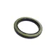 Retentor Cubo Roda Traseiro 101X131X14/16MM 9799970246