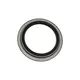 Retentor Cubo Roda Traseiro 145X175/205X 0159974947