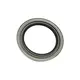 Retentor Cubo Roda Traseiro 145X175/205X 0159974947