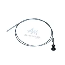 Vareta Óleo Motor 21107513
