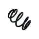 Mola Cuíca Freio (Spring Brake)s.master 2RD607953