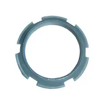 Porca Eixo Entalhado 16.S 1650 2T0311495