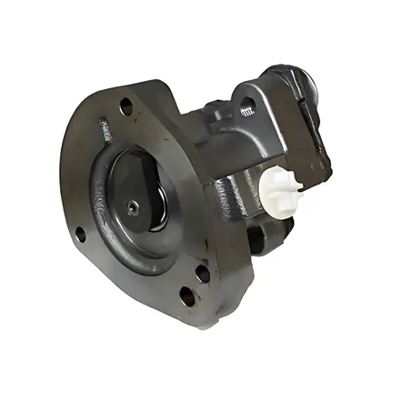Reparo Bomba Combustível 0030917401