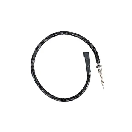 Sensor Temperatura Escape 770MM 21412472