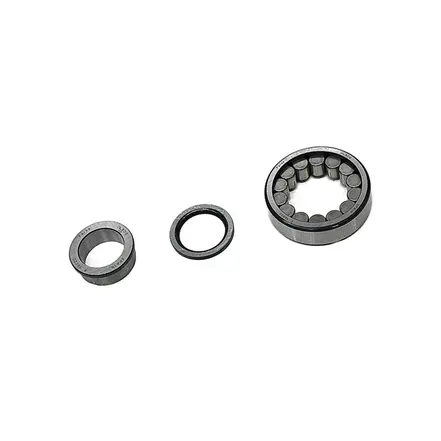 Rolamento Diferencial Pinhão F19020/F458 T14525059