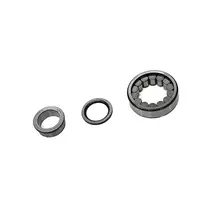 ROLAMENTO DIFERENCIAL PINHAO F19020/F458 T14525059