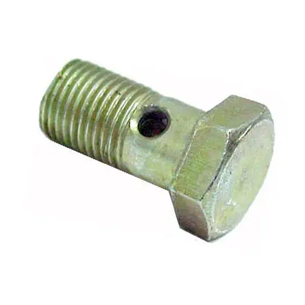Parafuso Vazado 10X1X19 2 Furos-B.inj. 915011004101