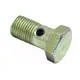 Parafuso Vazado 10X1X19 2 Furos-B.inj. 915011004101