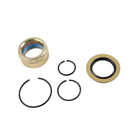 Reparo Cilindro Bascular Cabine sem Pistoe 1433655