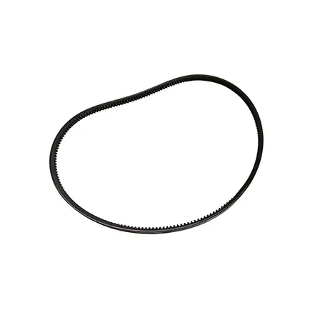 Correia Motor 2Z0903138A