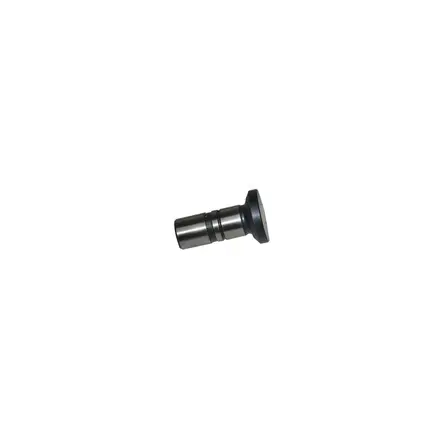 Tucho Válvula Motor STD Motor MWM X10 X12 Todos Original 7001604C1E 2S0109309F