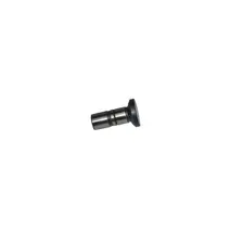 Tucho Válvula Motor STD Motor MWM X10 X12 Todos Original 7001604C1E 2S0109309F