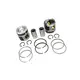 Kit de Motor MAN D08 STD Mahle Metal Leve Original 07W107067J