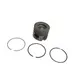 Pistão Motor Cummins ISF 2.8 Completo com Pino Importado 23B198065