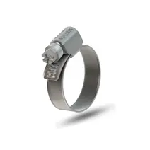Abraçadeira Rosca sem Fim 9MM 14X22MM (10 Peças) MTX 291422P10