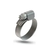 Abraçadeira Rosca sem Fim 9MM 22X32 (10 Peças) 2RD127741A