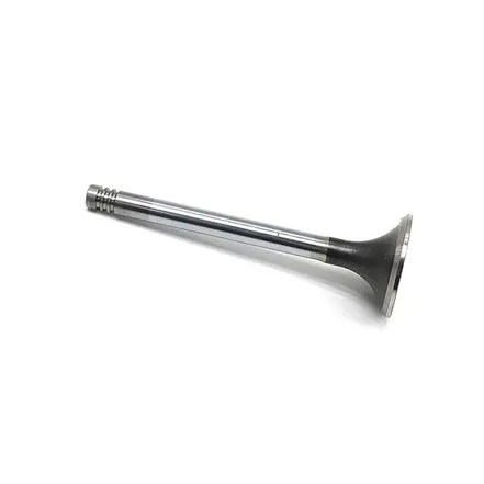 Válvula de Escape Assento 45 Graus - Motor MWM (C) 2RB109611