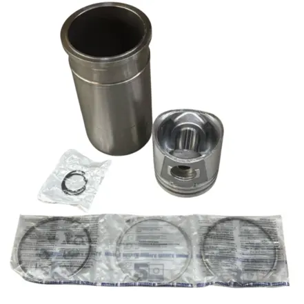 KIT DE MOTOR STD MWM X10 4 E 6 CILINDROS MAHLE METAL LEVE 2R0198075AA